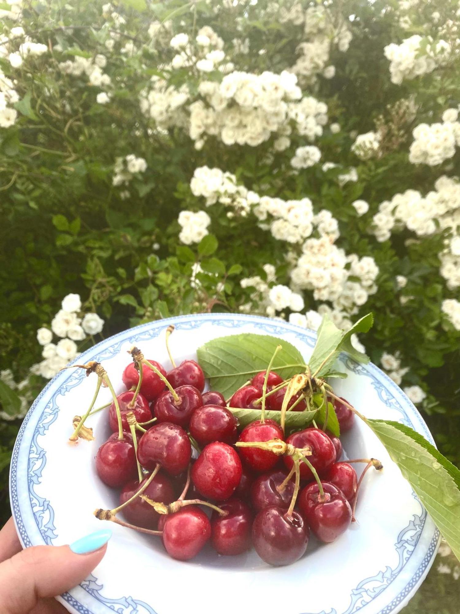 Farm stay La Fattoria